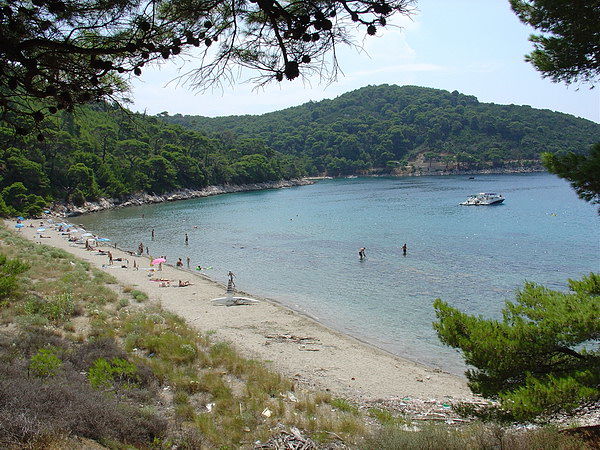 Playa Saplunara